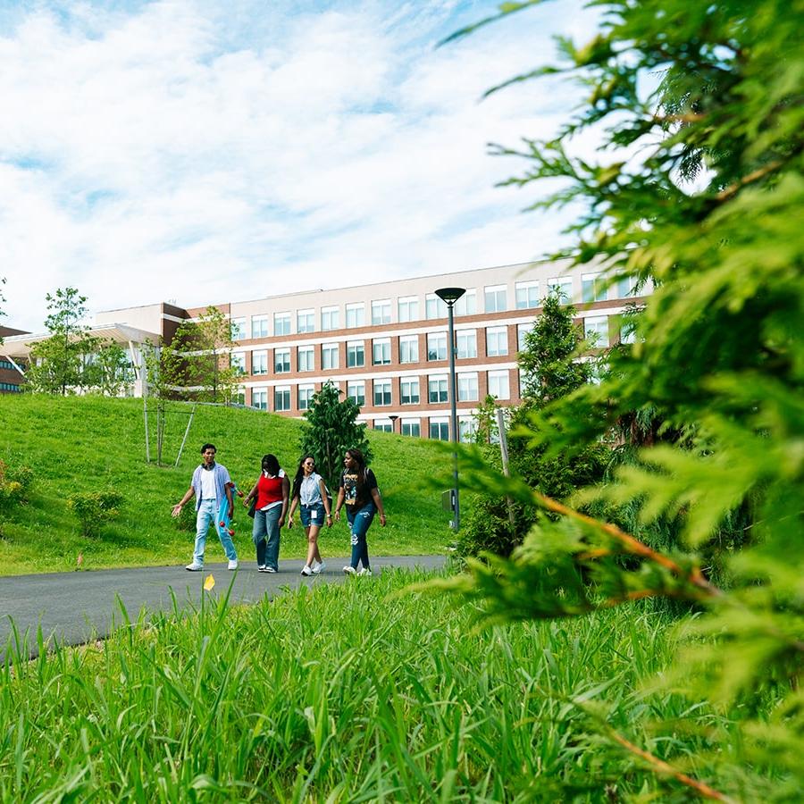 学生走四方走道的树木前景